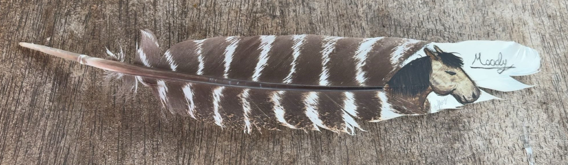 Moody Mare Painted Turkey Feather