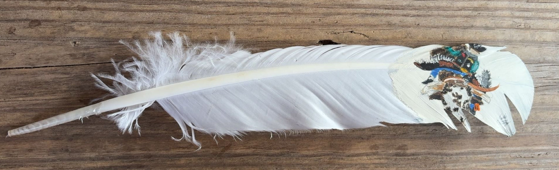 Bull Riding- Up Close View - Painted White Crow Feather