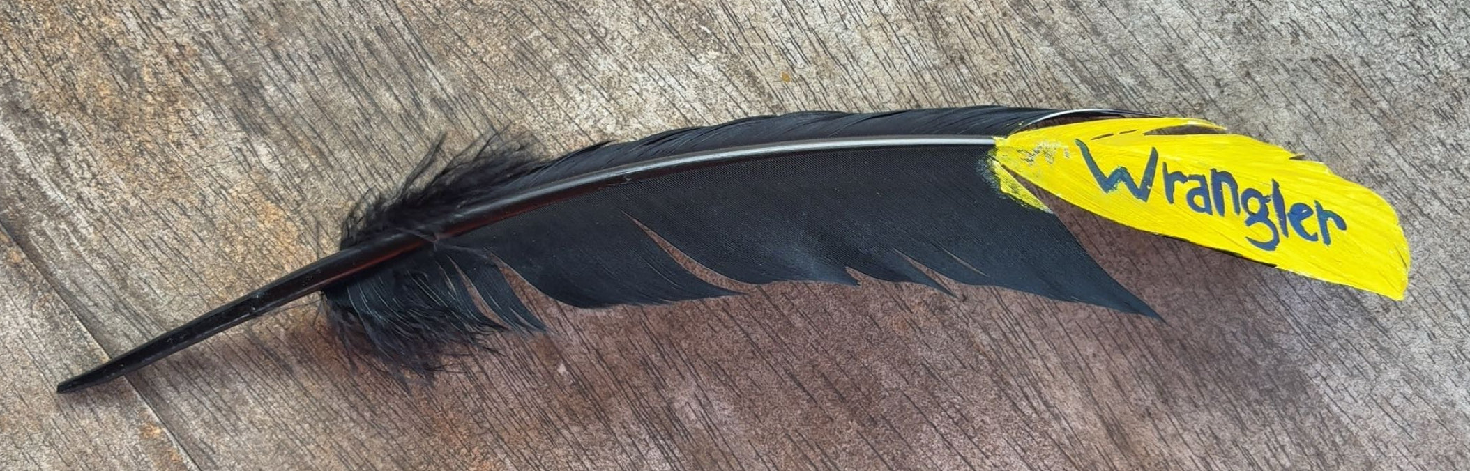 Black Wrangler Painted Feather