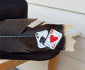 Ace Cards Painted Turkey Feather