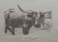 Tan Longhorn Soft T-shirt XL/L