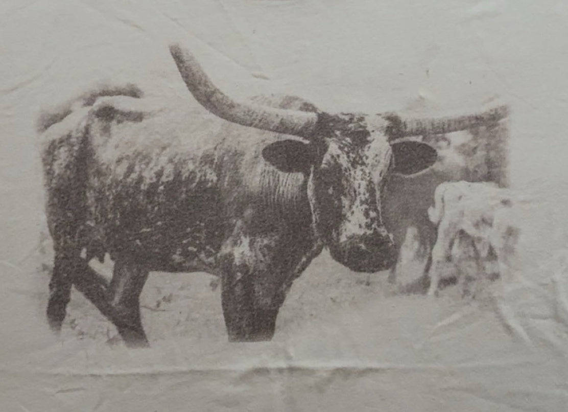 Tan Longhorn Soft T-shirt XL/L